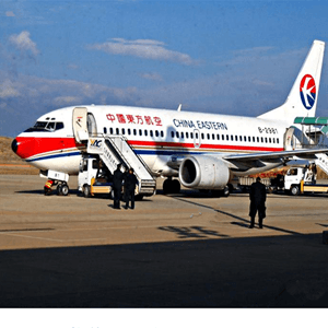沈阳桃仙航空运输航空快运业稳步发展的原因是什么？